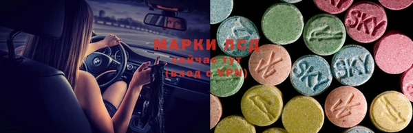 тгк Бородино