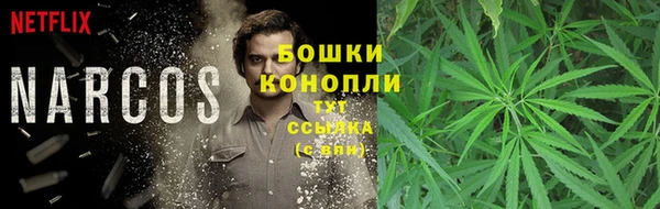 дживик Бронницы