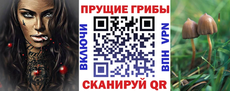 Галлюциногенные грибы Psilocybe  продажа наркотиков  Игра 